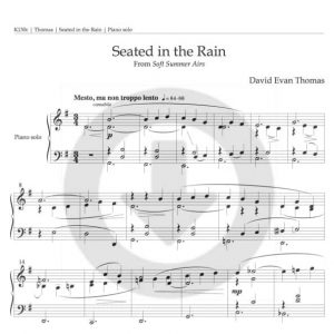 Seated in the Rain (download)